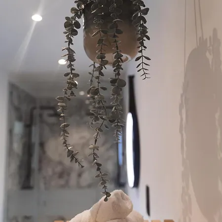 Appartement & *